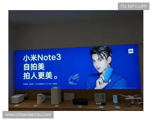 米兰官网下载入口详解，享受无缝线上体验与服务